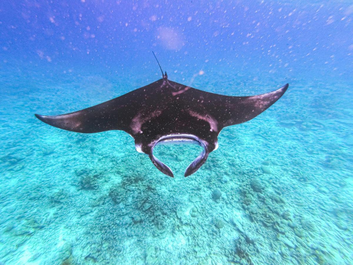Nemo Inn Omadhoo Bagian luar foto