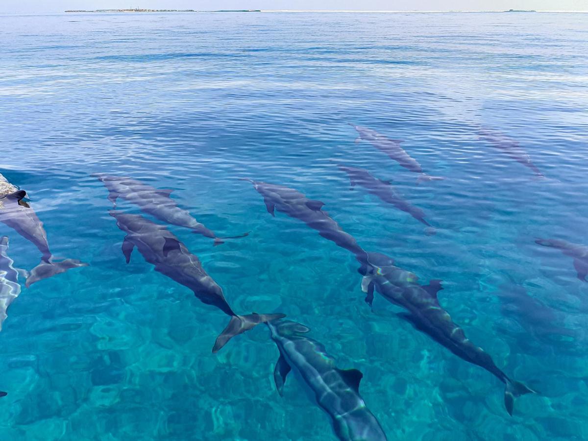 Nemo Inn Omadhoo Bagian luar foto